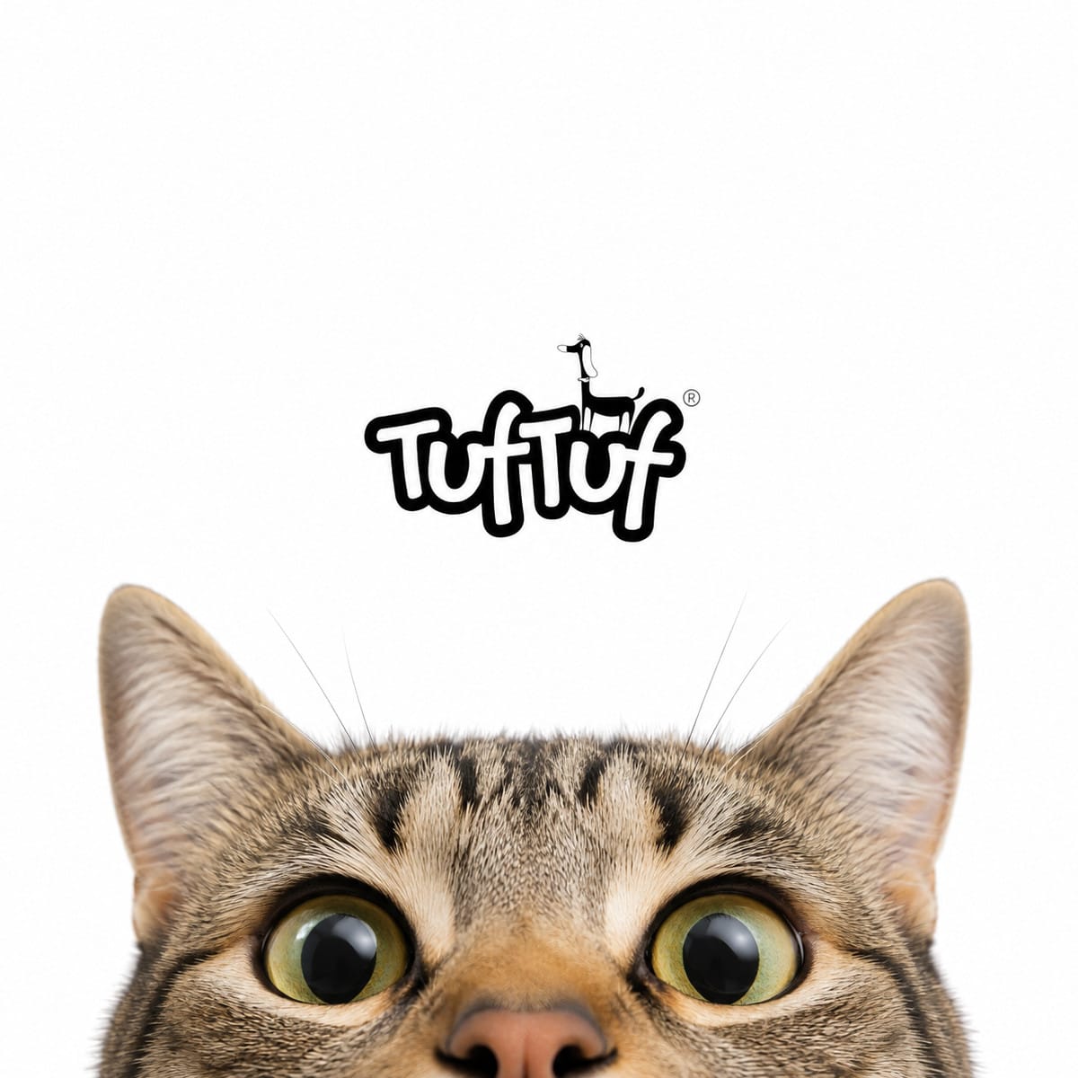 37857a2212cf770fa983e288e742d628