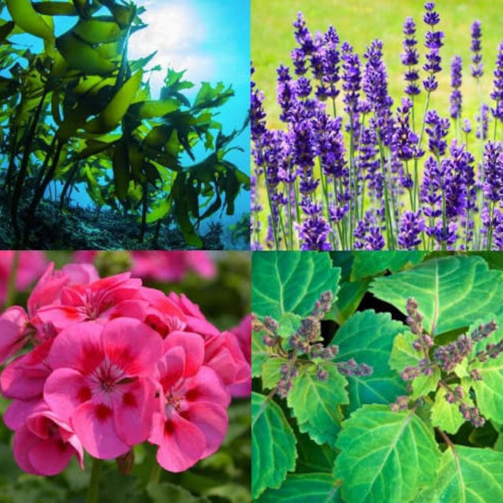 b0e571829f0f2684b7e6280b2f11c7dc