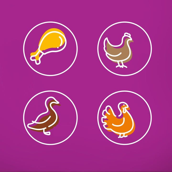 Produkt WHISKAS Karma mokra dla kota WHISKAS Drób w sosie Galaretka Mix 80x85g 003309