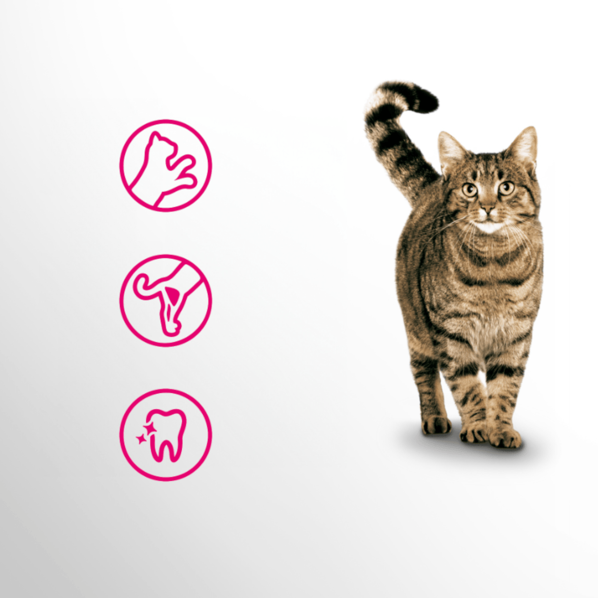 Produkt bd24.pl Karma sucha dla kota PERFECT FIT z wołowiną 7kg 003956