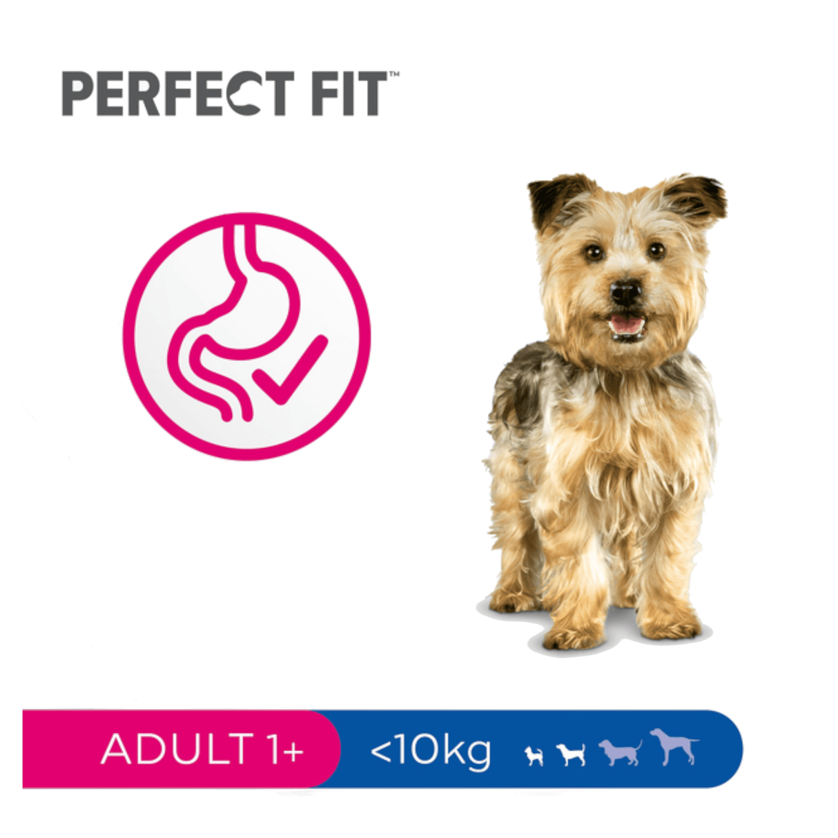 Produkt bd24.pl Karma sucha dla psa PERFECT FIT Małe Rasy Kurczak 6kg 003953