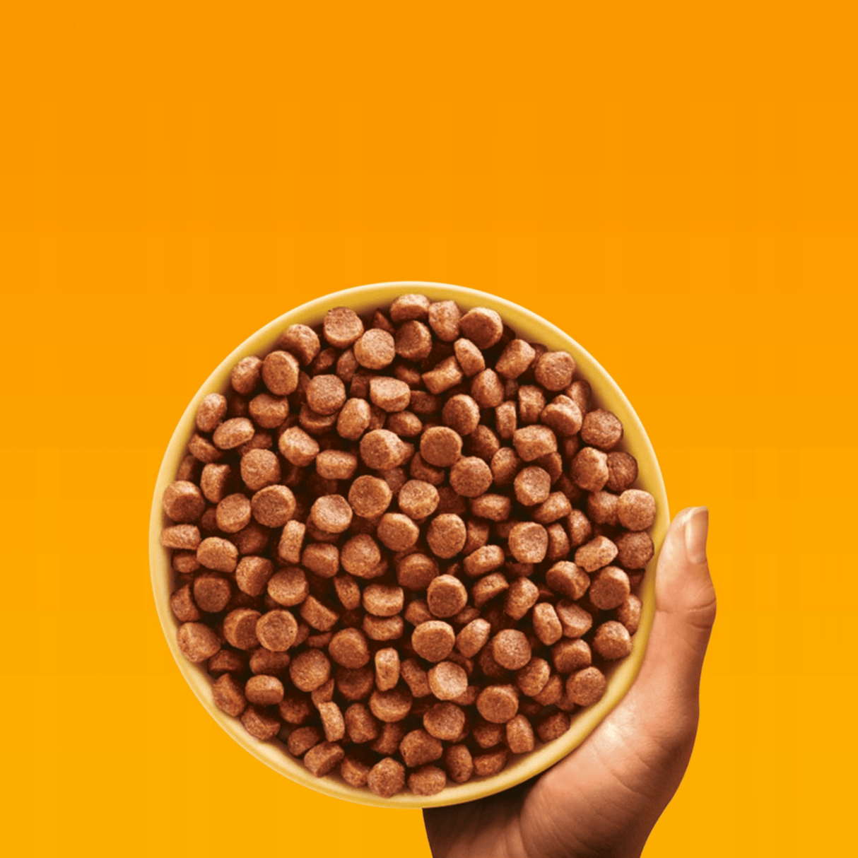 Produkt PEDIGREE Karma sucha dla szczeniąt PEDIGREE Professional Junior Średnie i Duże Rasy Drób 12kg 003949