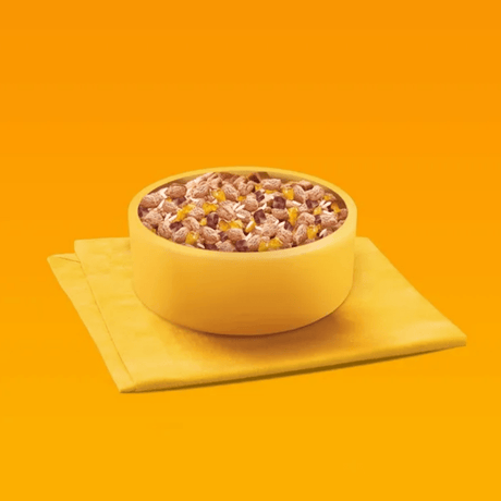 Produkt PEDIGREE Mokra Karma dla szczeniąt PEDIGREE Mix smaków z ryżem saszetki dla psów 40x100g 003859