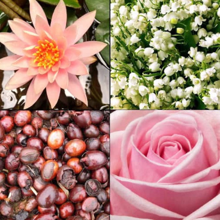 Produkt TESORI D'ORIENTE Perfumy i Woda Toaletowa Woda toaletowa TESORI D'ORIENTE Fiori Di Loto 100ml 053139