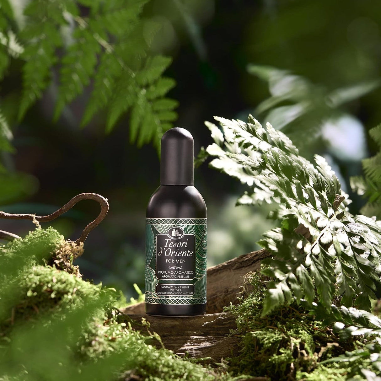 Produkt TESORI D'ORIENTE Perfumy i Woda Toaletowa Woda toaletowa TESORI D'ORIENTE Sandalwood & Vetiver For Men 100ml 053134