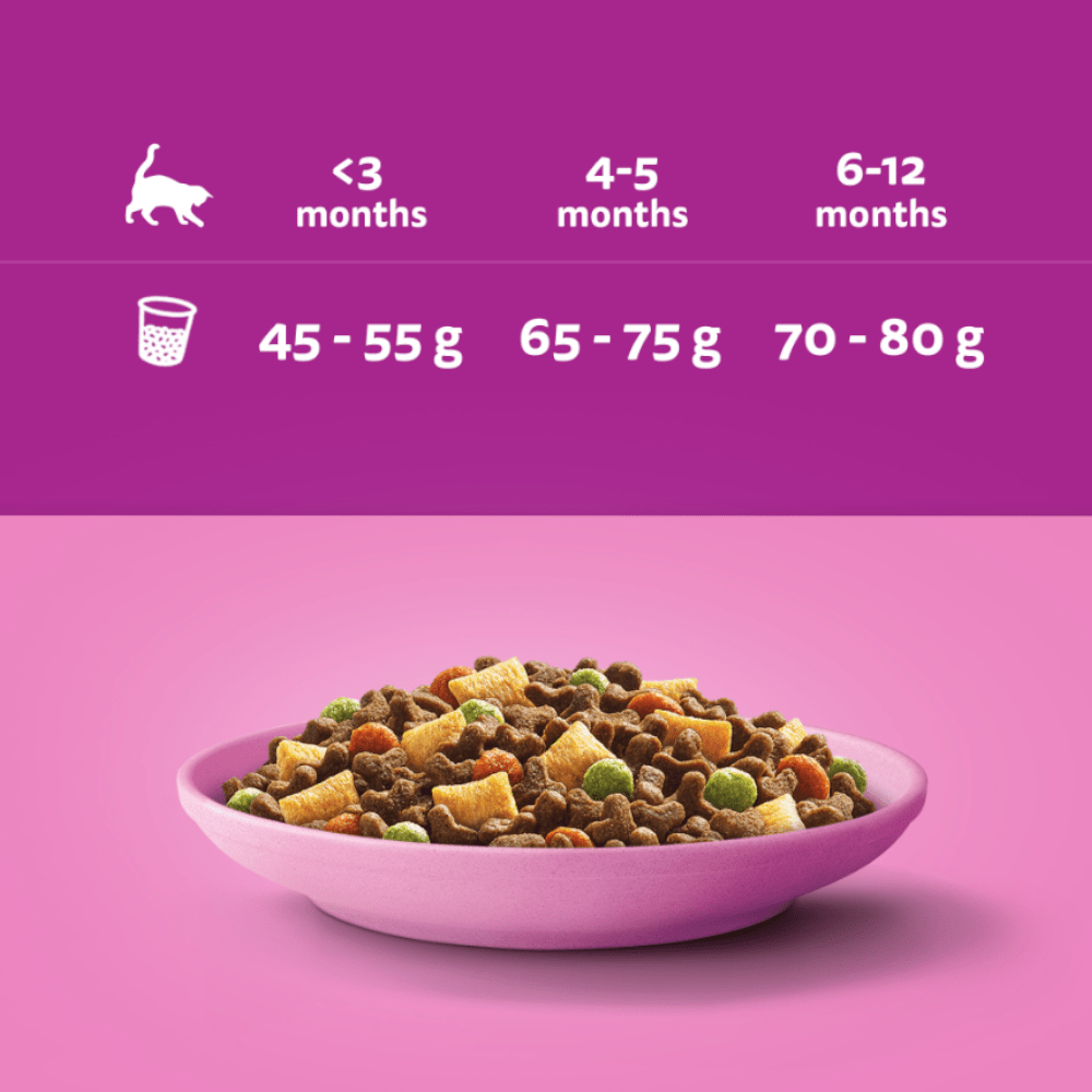 Produkt WHISKAS Sucha Karma dla kociąt WHISKAS Junior z Kurczakiem 14kg 036574