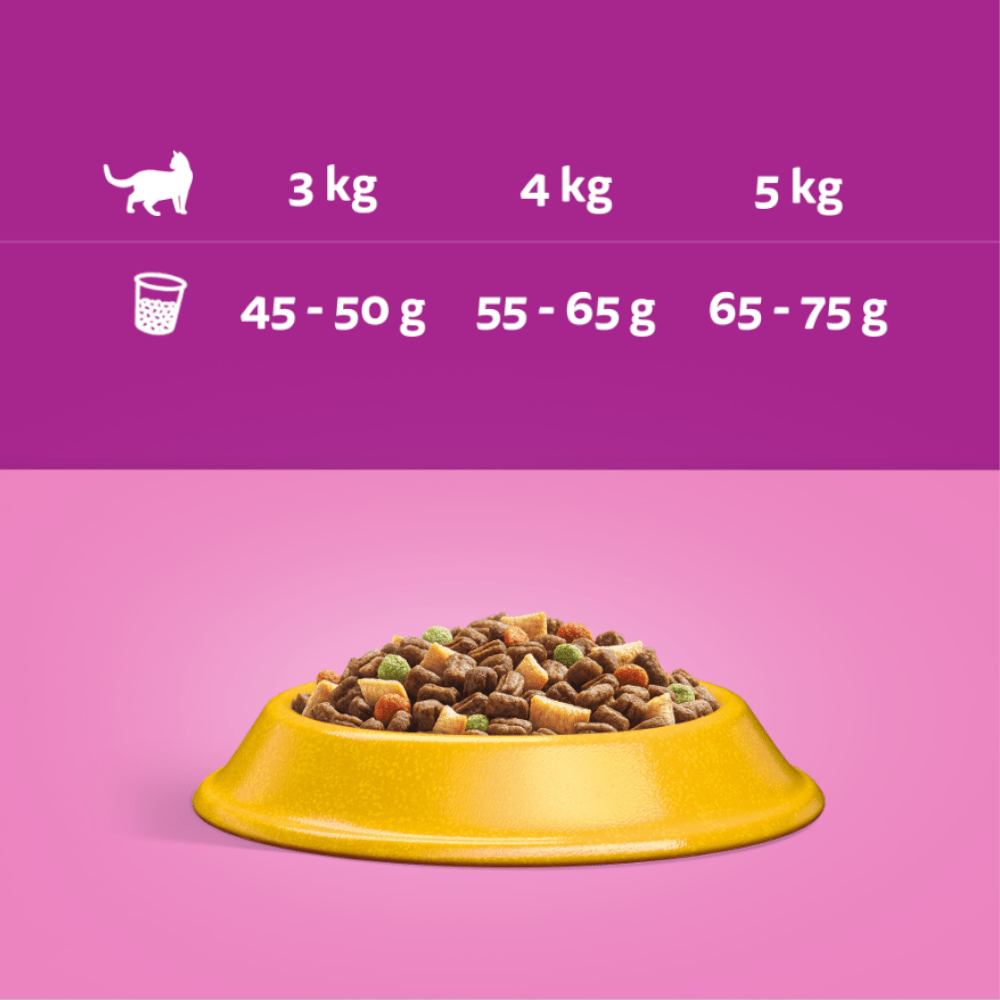 Produkt WHISKAS Sucha Karma dla kotów WHISKAS z kurczakiem 14kg 045868