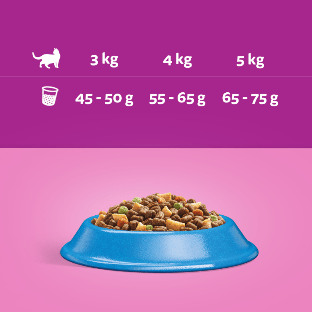 Produkt WHISKAS Sucha Karma dla kotów WHISKAS z tuńczykiem14kg 003978