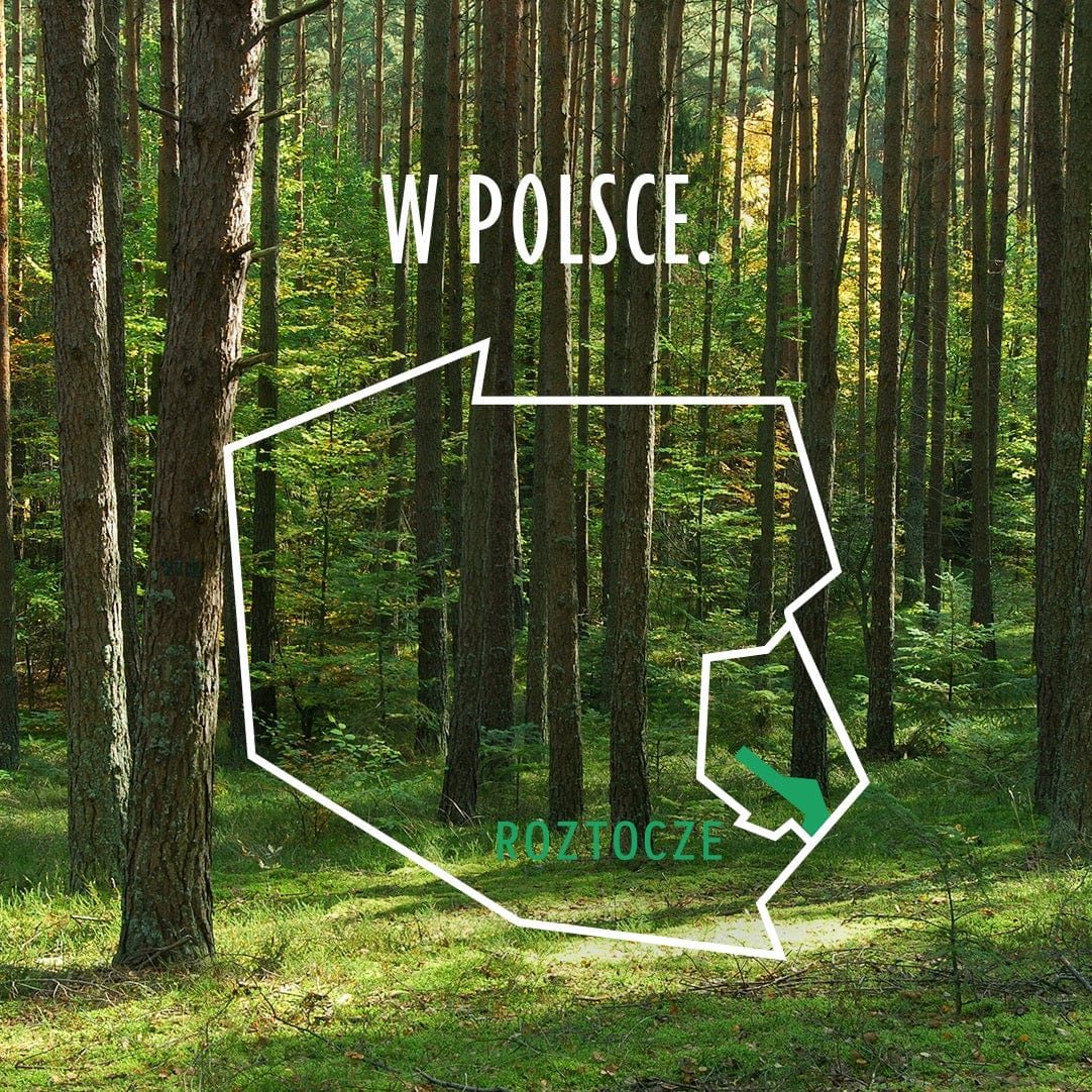 Produkt RODOWITA Woda Woda mineralna RODOWITA z Roztocza niegazowana Sport Paleta 1296x 0,6 l K_039778_1296