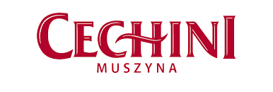 Produkt CECHINI MUSZYNA Woda wysokomineralizowana Woda Lecznicza CECHINI Zofia 5l 004800