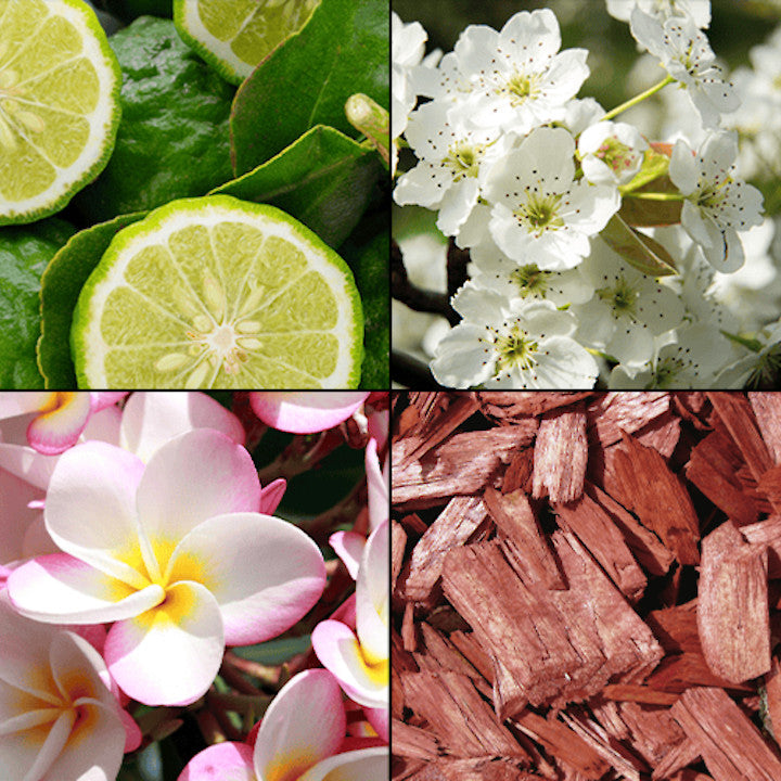 824d0038578134b12940fe3befc768cd