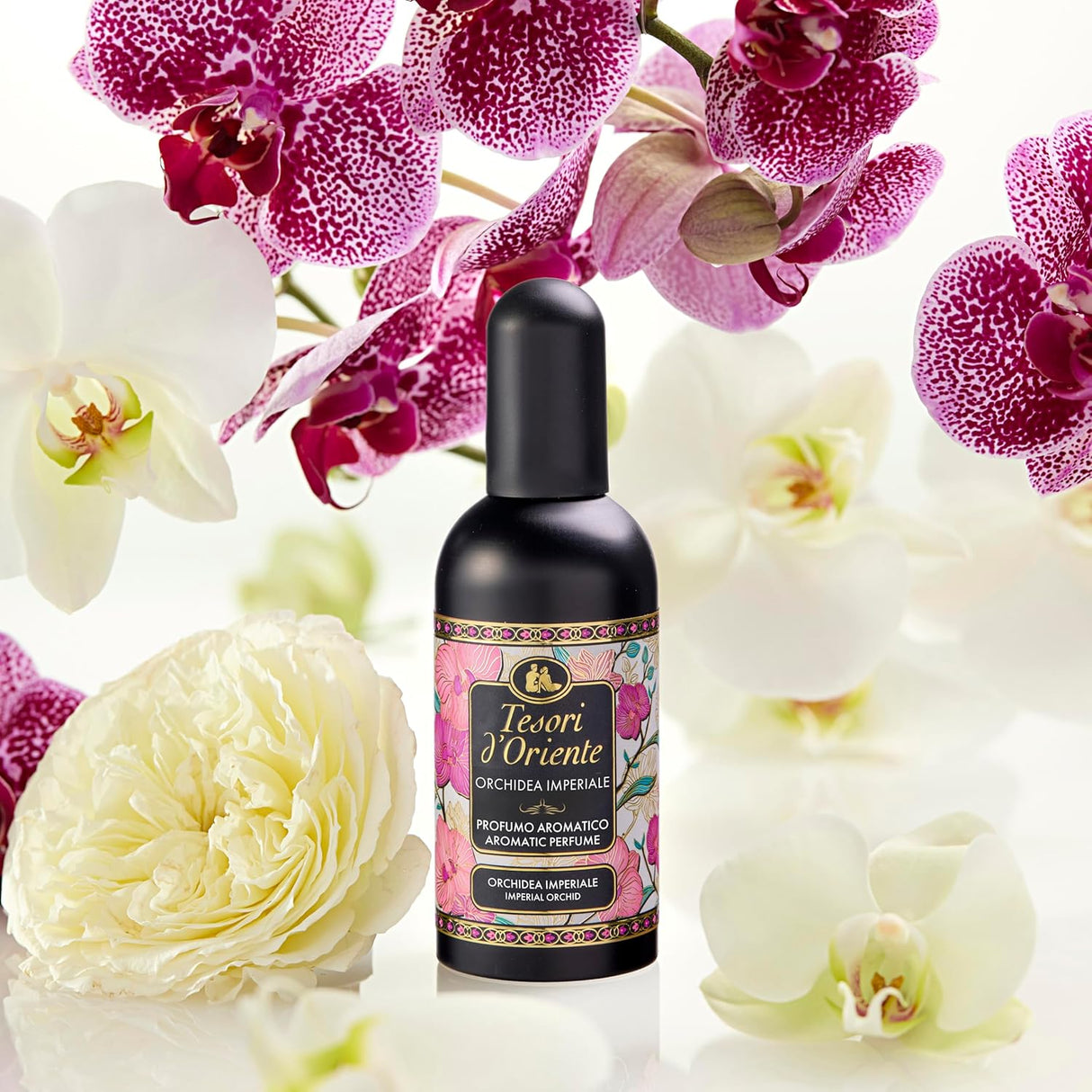 7f85e6d54f98d99da30f950d1d30bdf9