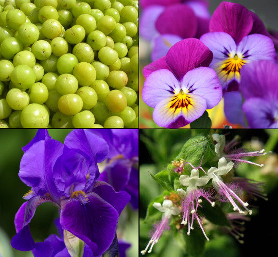 114a5a5cc1d4c2586af20f6215939811