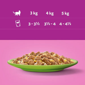Produkt WHISKAS 2x Karma mokra dla kota WHISKAS Mix smaków w galarecie 40x85 g K_038636_2