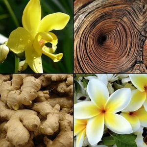 4a1a3c4e8541d35632ecf051562ff995