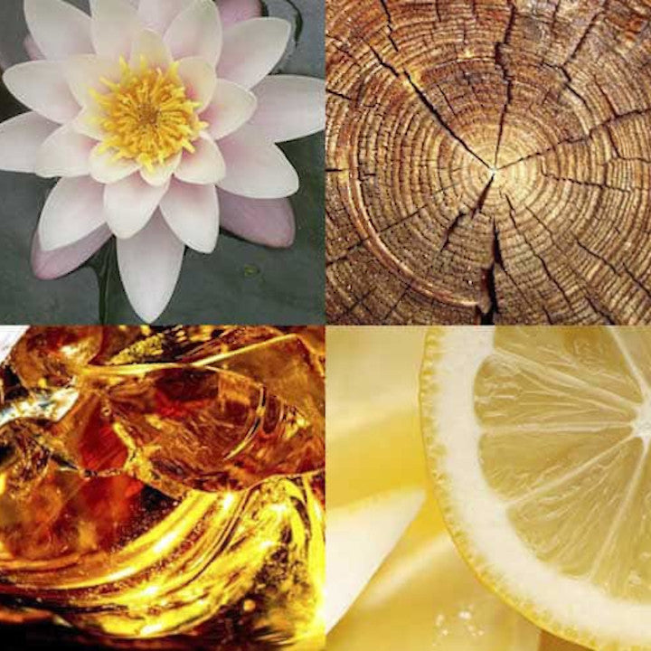 be956dfe5b1db338dc9c4ad123fc9fe8