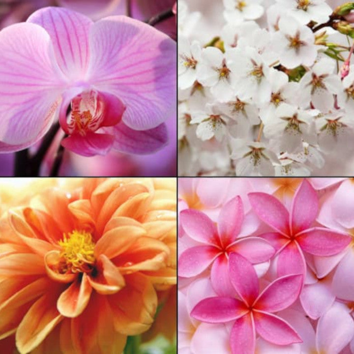 5264335d185dcc511e07093148cdd352