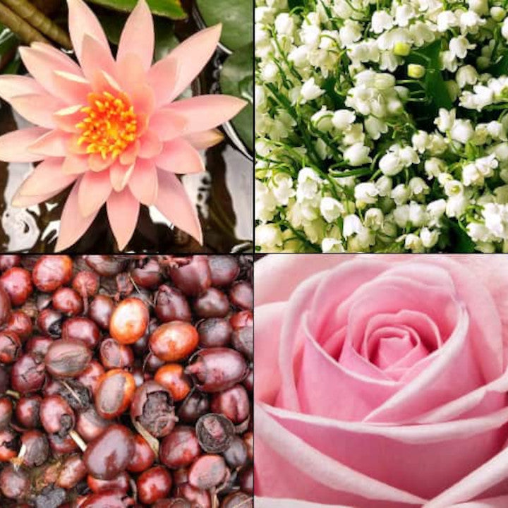 0c96c1287733df4ef13fa2fb49920f59