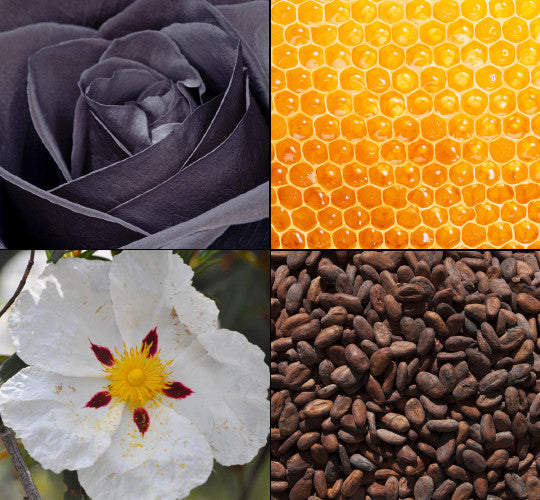 909e24b4ea36b7a18fb7ad67aa29ce10