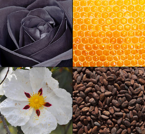 909e24b4ea36b7a18fb7ad67aa29ce10