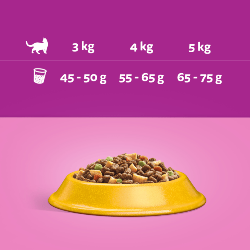 Produkt WHISKAS Karma sucha dla kota WHISKAS Tuńczyk 7kg 006059