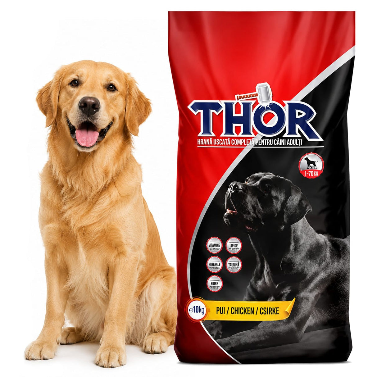 Produkt bd24.pl Karma sucha dla psa THOR Essential z kurczakiem 10kg 006193