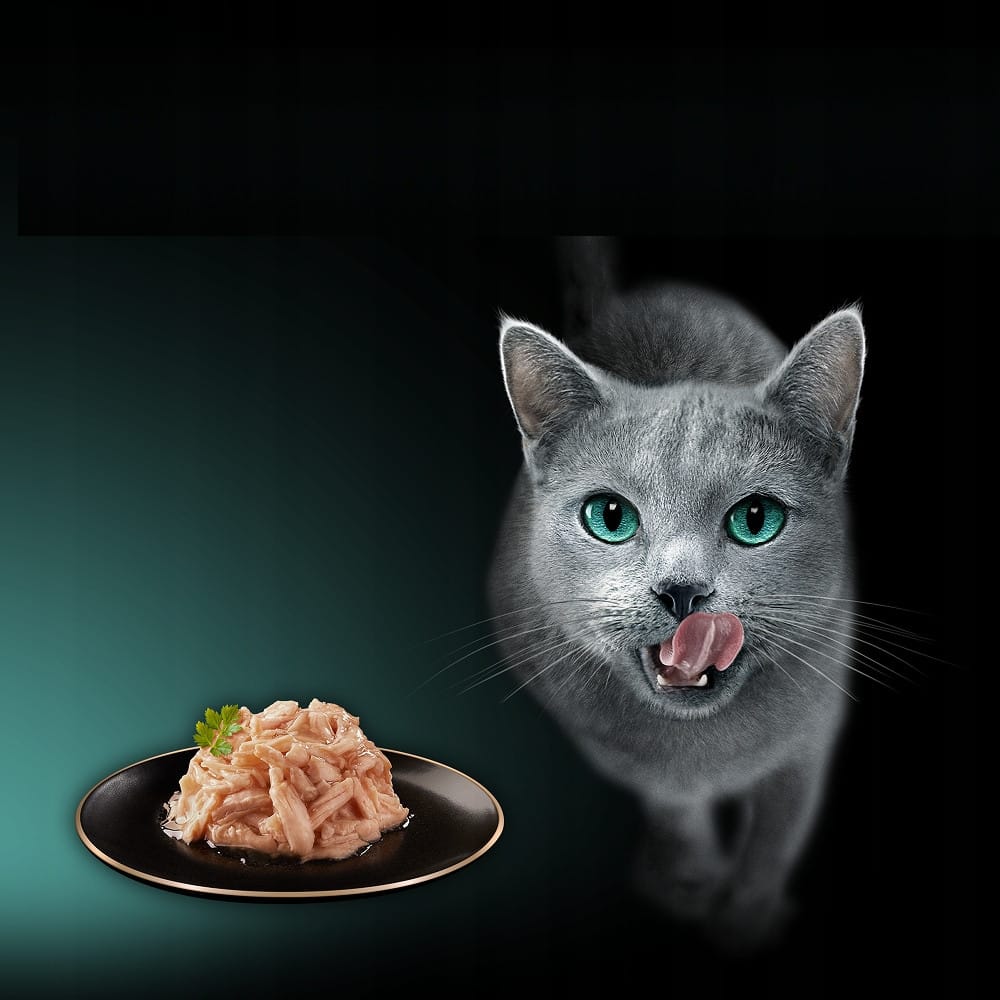 Produkt SHEBA Mokra karma dla kota Mokra karma dla kota SHEBA Fileciki z kurczakiem w sosie 60g 005604