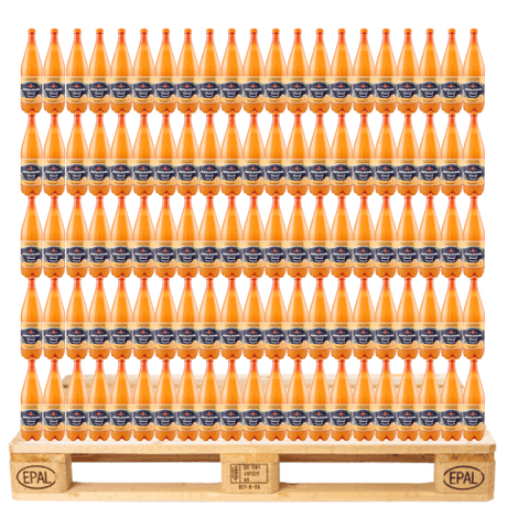 Produkt SAN PELLEGRINO Napoje gazowane Napój gazowany SAN PELLEGRINO Aranciata 1,2l Paleta 504 butelki K_001757_504