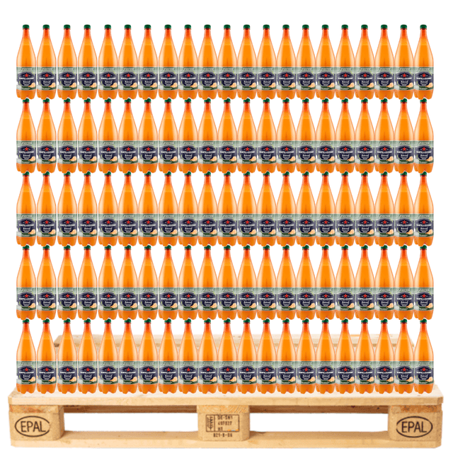Produkt SAN PELLEGRINO Napoje gazowane Napój gazowany SAN PELLEGRINO Aranciata Amara 1,2l Paleta 504 butelki K_001756_504
