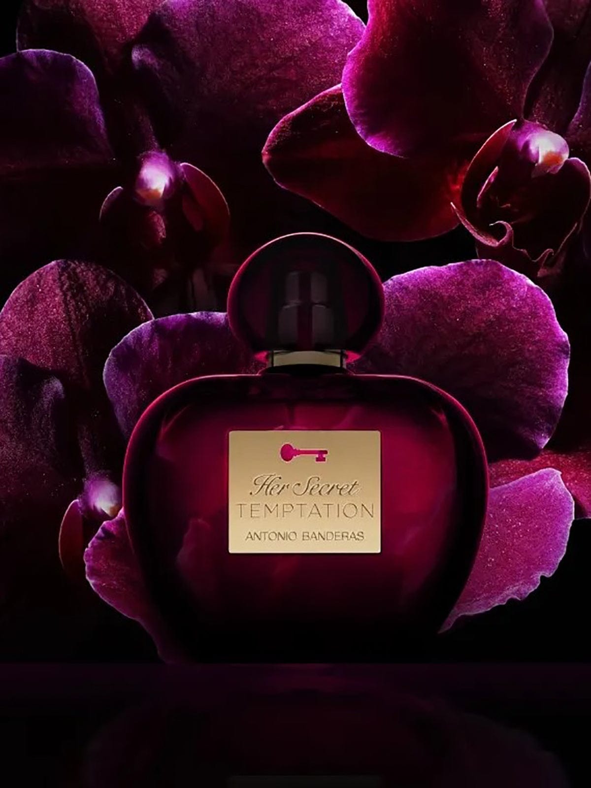 Produkt ANTONIO BANDERAS Perfumy i Woda Toaletowa Woda toaletowa ANTONIO BANDERAS Her Secret Temptation dla kobiet EDT 80ml 052769