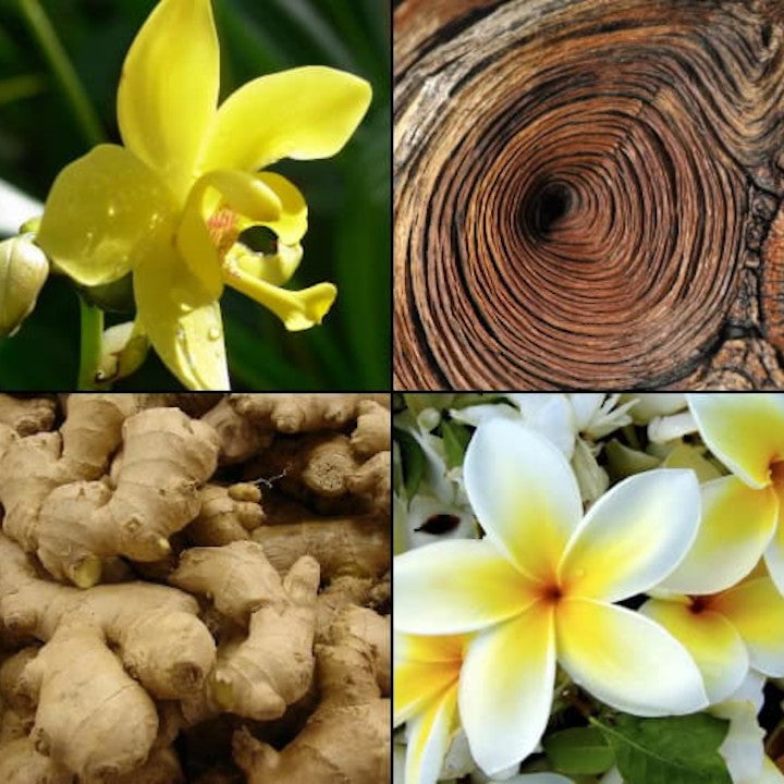 Produkt TESORI D'ORIENTE Perfumy i Woda Toaletowa Woda toaletowa TESORI D'ORIENTE Wanilia E Zenzero 100ml 053150