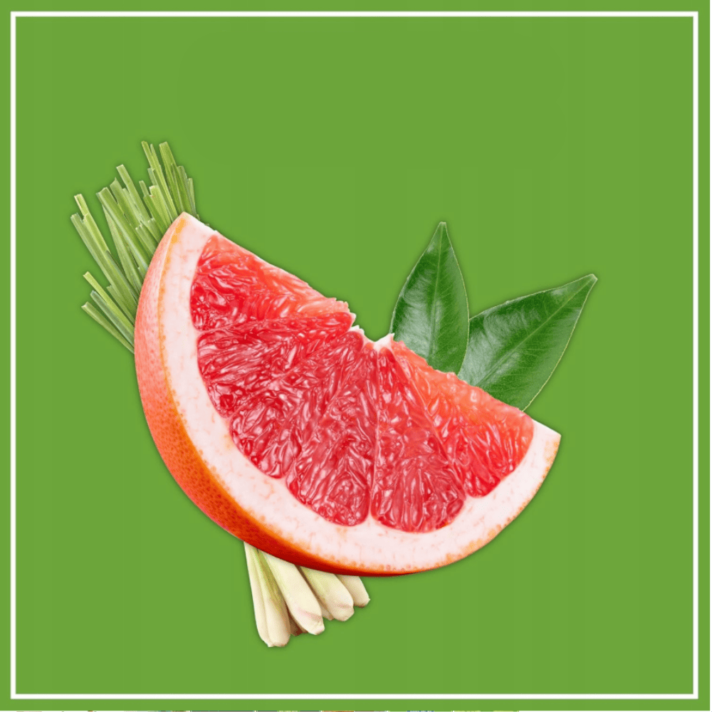 Produkt POLIBOY Środki do podłóg BIO Koncentrat do robotów czyszczących POLIBOY środek czyszczący 1l 003079