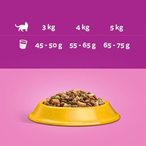 Produkt WHISKAS Sucha Karma dla kotów WHISKAS z kurczakiem 14kg 045868