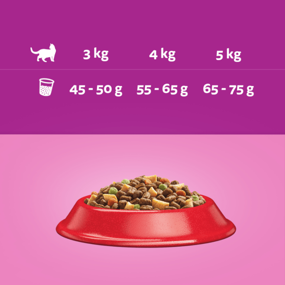 Produkt WHISKAS Sucha Karma dla kotów WHISKAS z wołowiną 14kg 036428