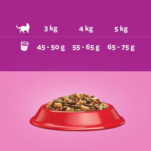 Produkt WHISKAS Sucha Karma dla kotów WHISKAS z wołowiną 14kg 036428