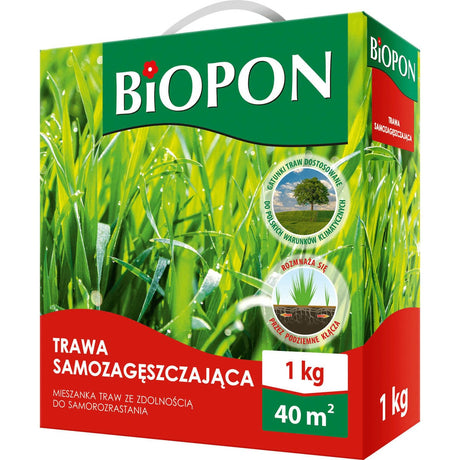 Produkt BIOPON Trawa samozagęszczająca BIOPON Mieszanka 1 kg 045904