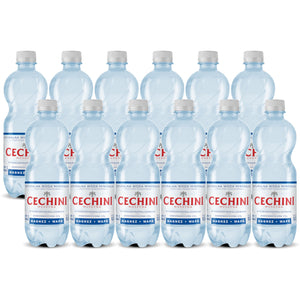 Produkt CECHINI MUSZYNA Woda wysokomineralizowana 12x Woda niskonasycona CECHINI MUSZYNA wysokozmineralizowana 0,5l K_004789_12