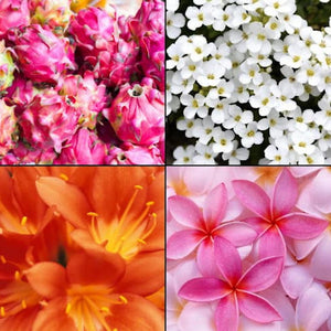 Produkt TESORI D'ORIENTE Żele pod prysznic Żel pod prysznic TESORI D'ORIENTE Fiore Del Dragone 250ml 053160