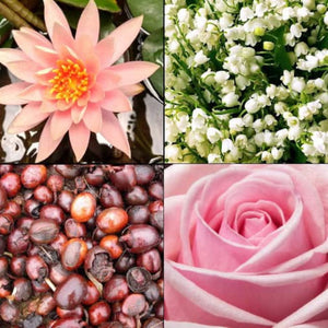 Produkt TESORI D'ORIENTE Żele pod prysznic Żel pod prysznic TESORI D'ORIENTE Fiori Di Loto 250ml 053161